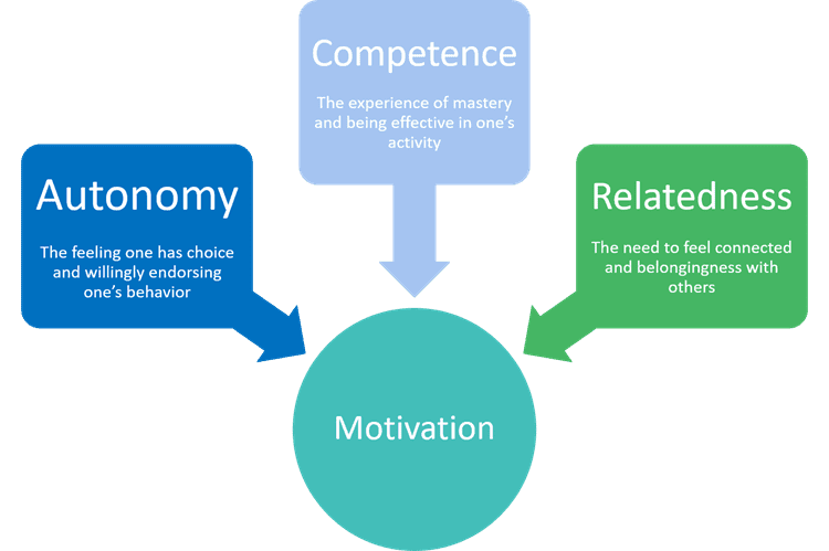Motivation Competency Relateedness Image